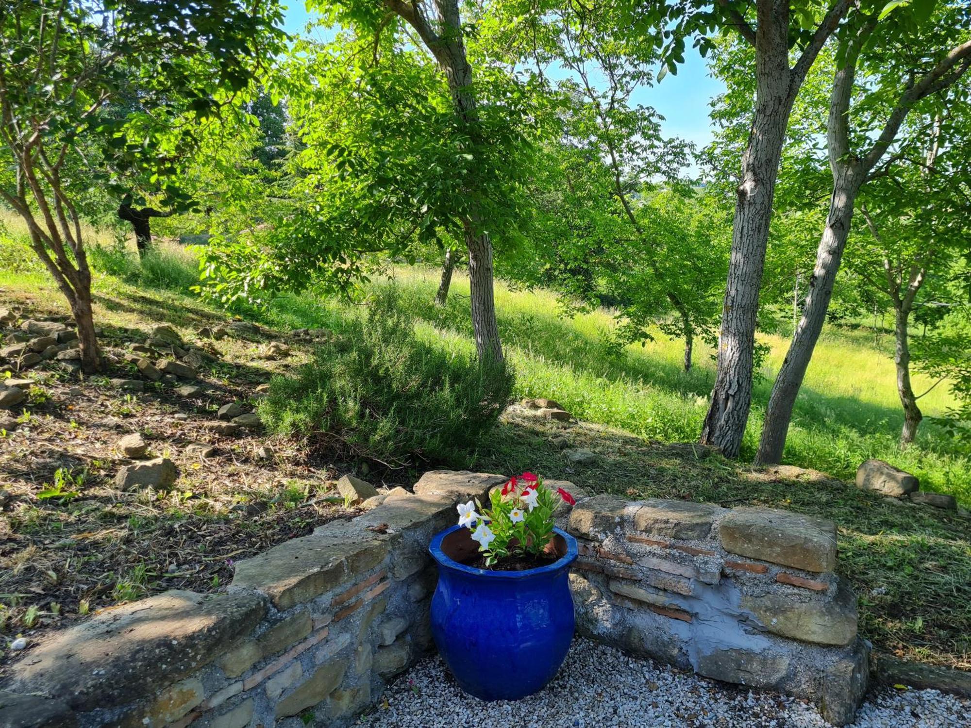 La Mela Rosa Bed & Breakfast Amandola Екстериор снимка